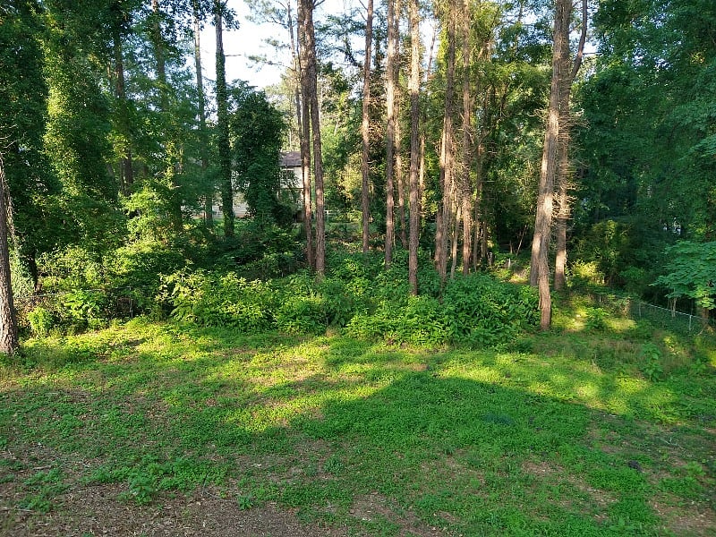 Furnished Finder property 579176_1 photo 30