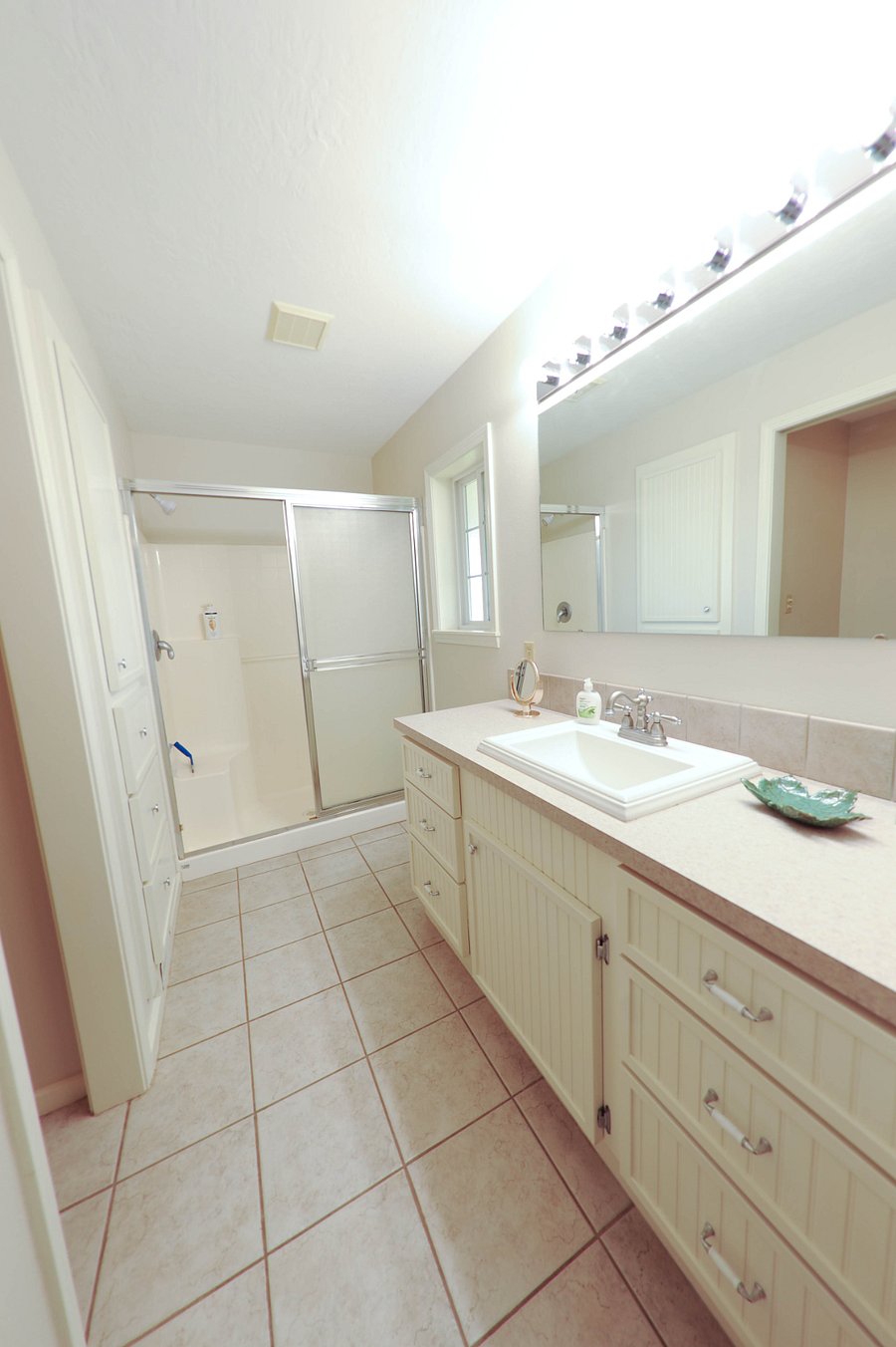 Master bathroom area