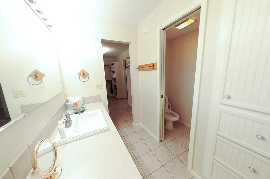 Master bathroom area