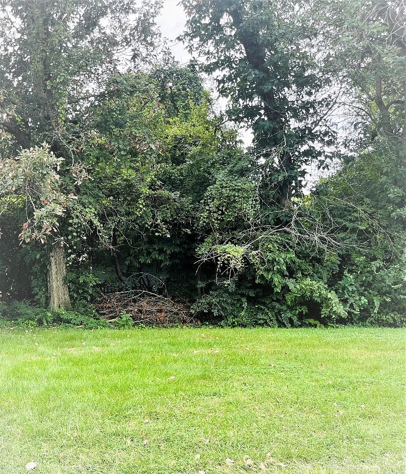Outside of back door.