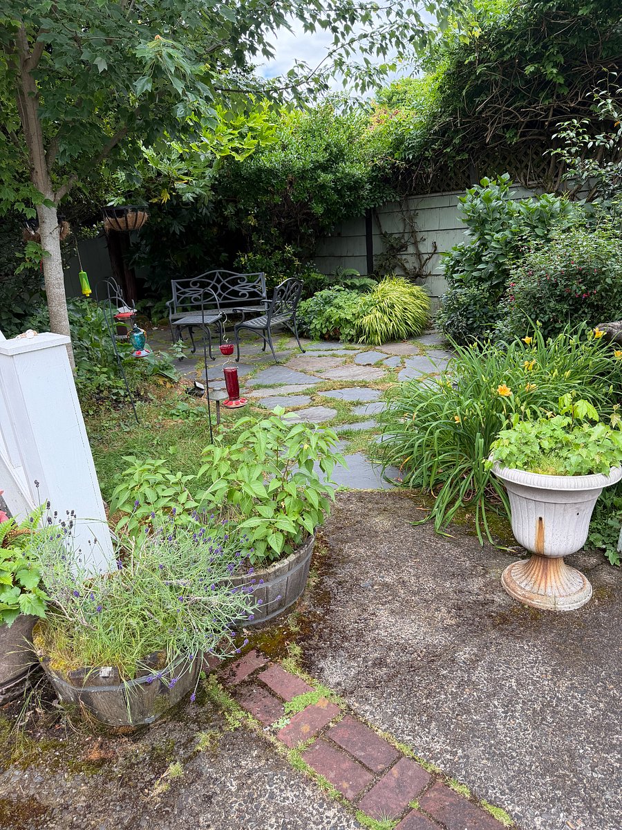 Back yard with seats.