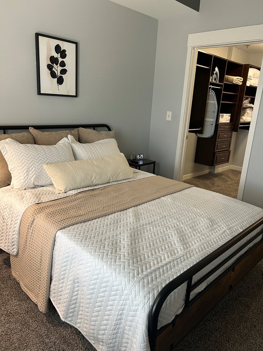 Furnished Finder property 580901_2 photo 11