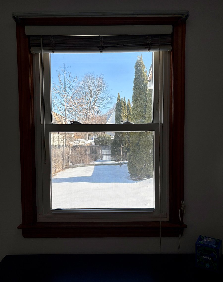 View from desk (of first-floor bedroom) overlooking the backyard