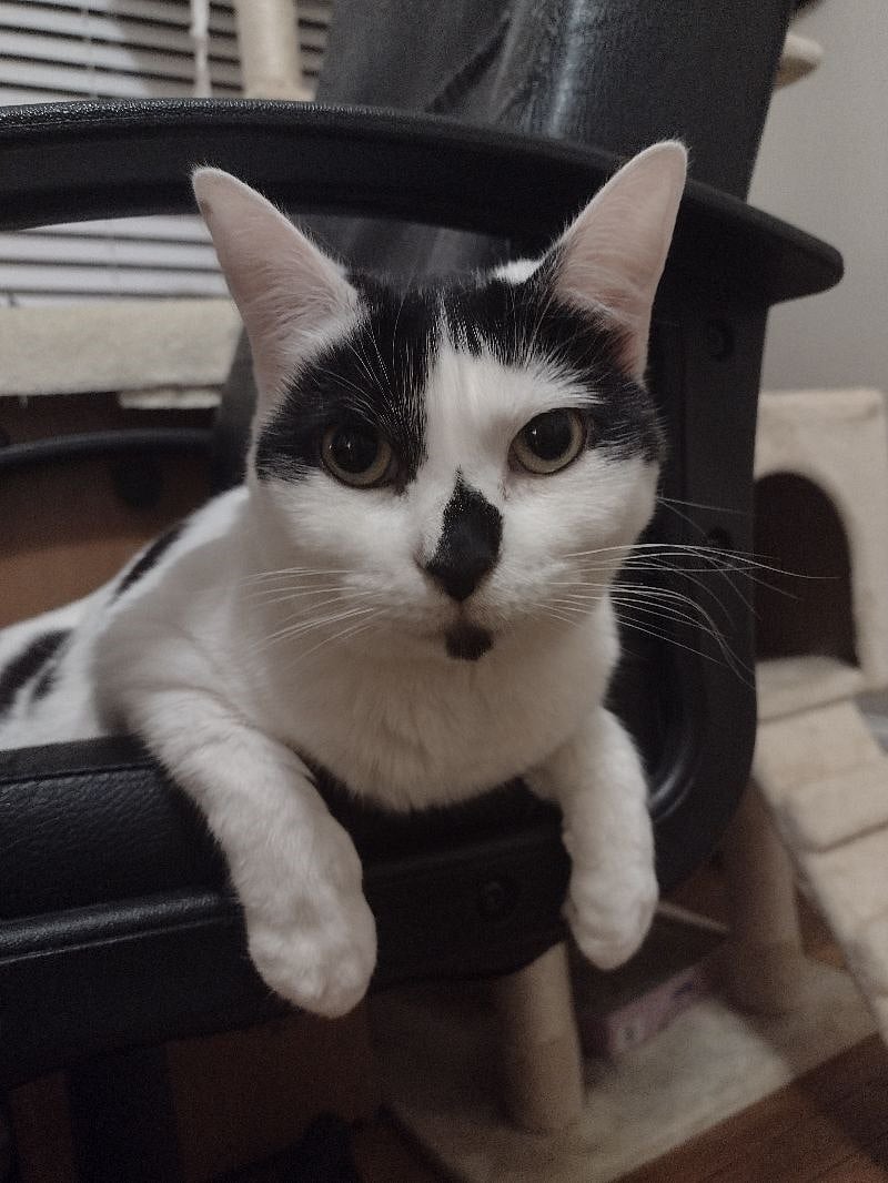 This is Francine