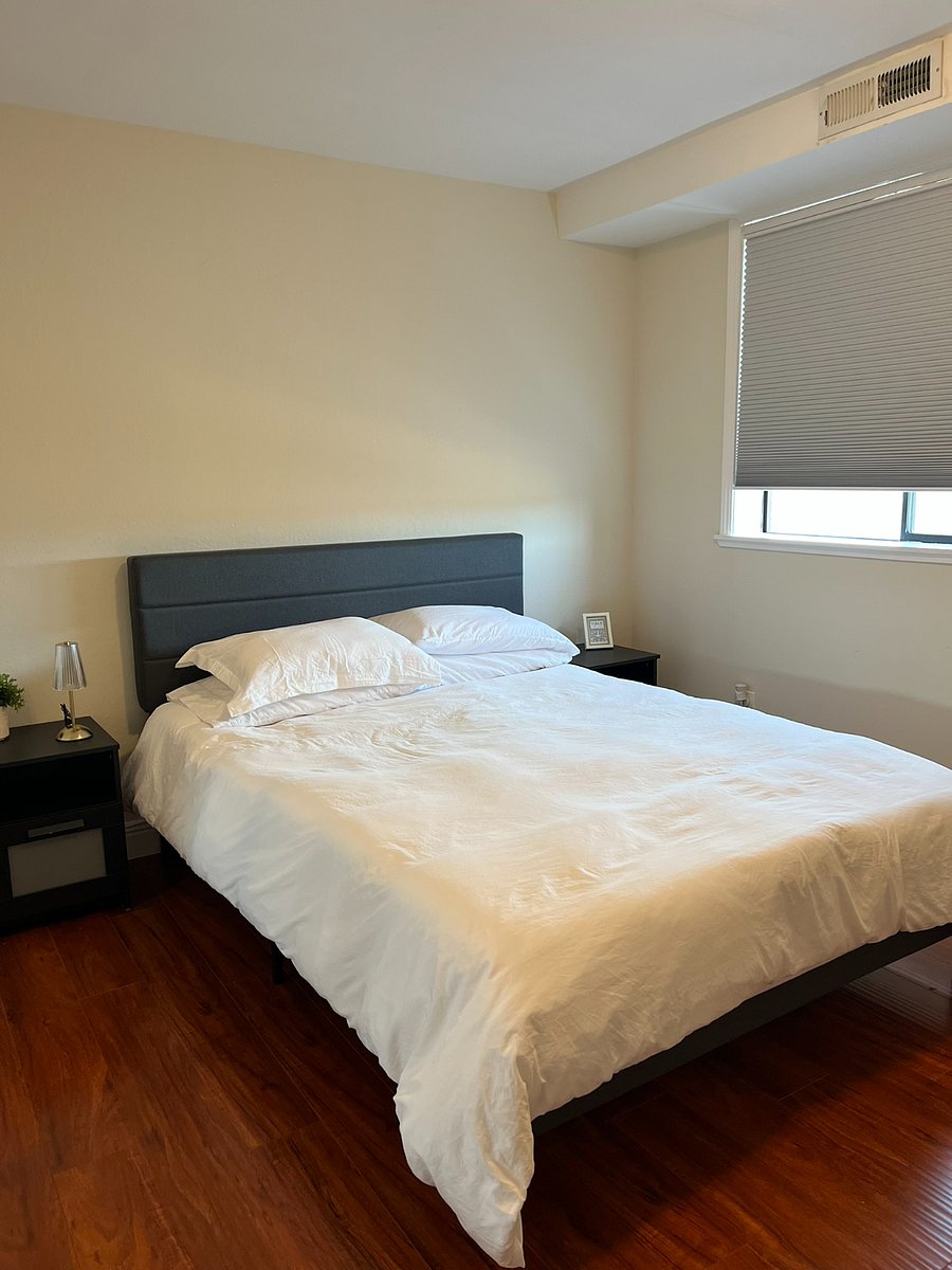 Furnished Finder property 581810_2 photo 11