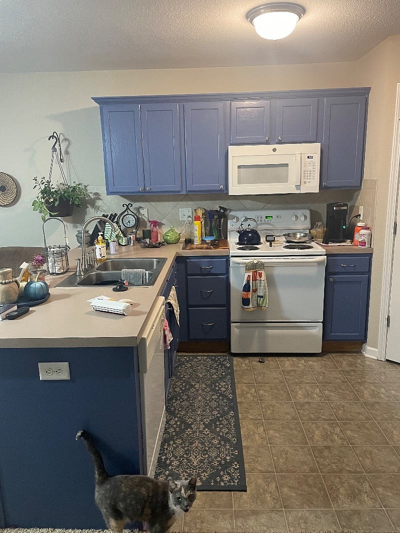 Shared kitchen