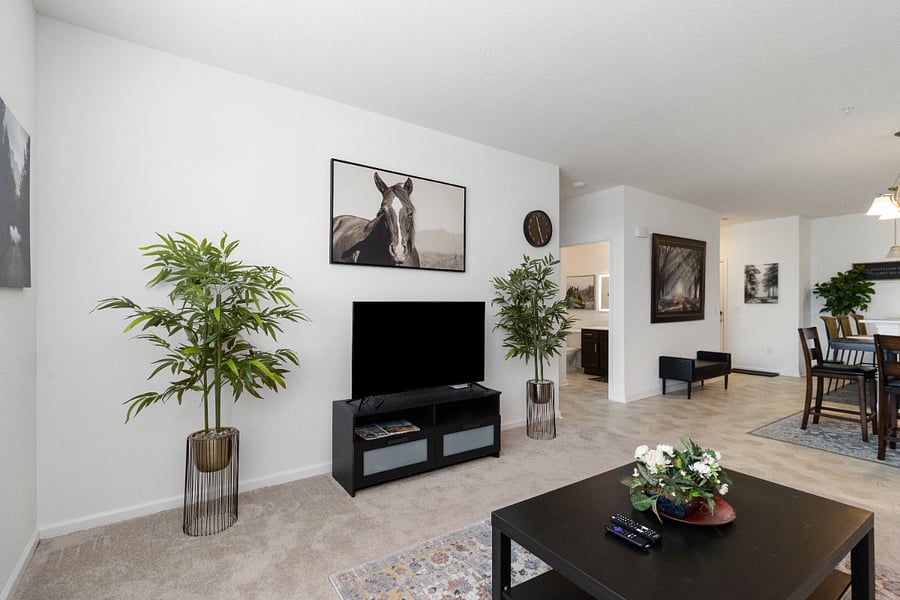 Furnished Finder property 582157_1 photo 3