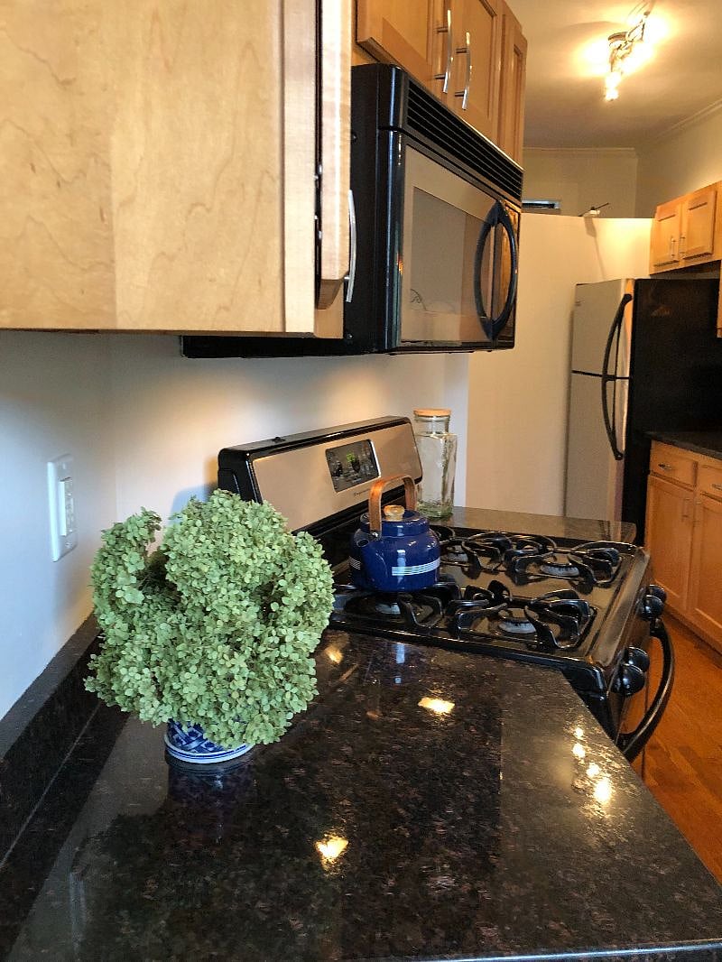 Furnished Finder property 582297_1 photo 5