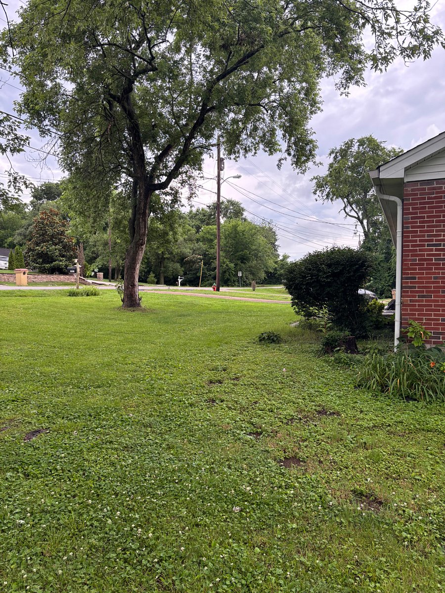 Spacious side and front yard
