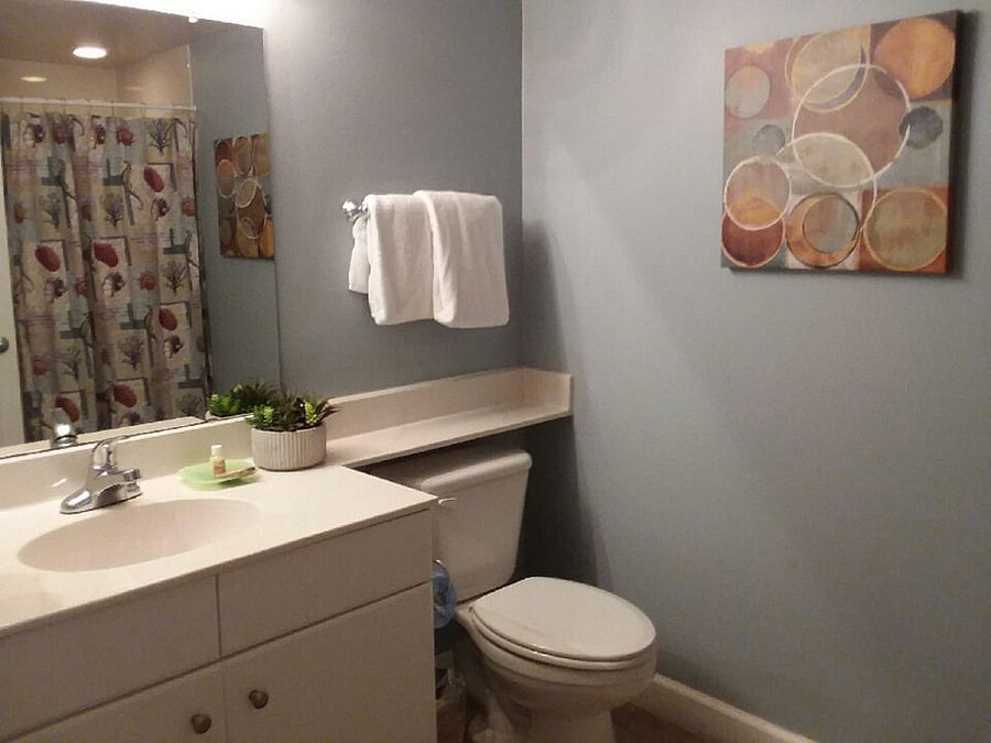 Furnished Finder property 582540_3 photo 13