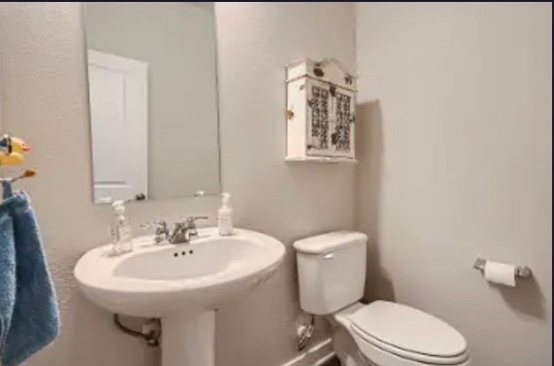 Downstairs half bathroom