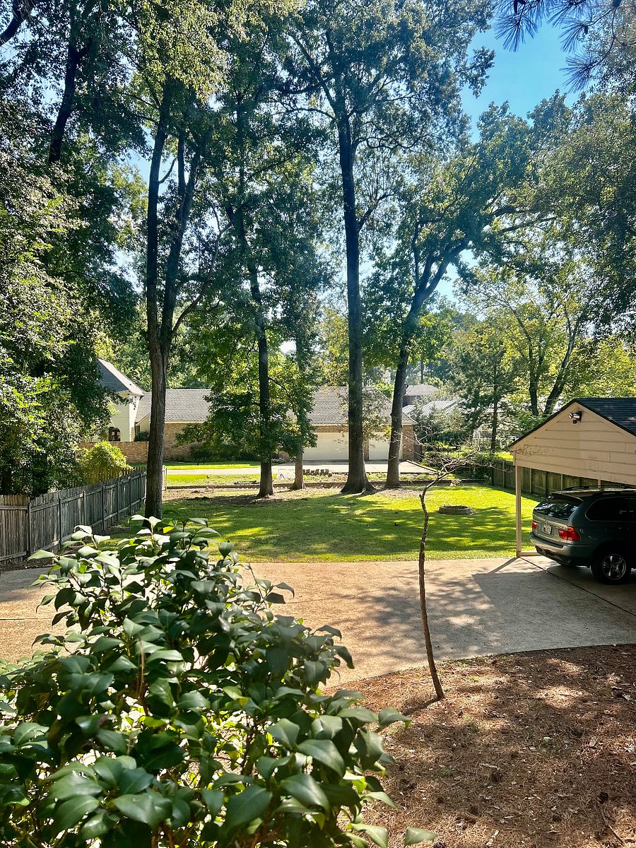 Furnished Finder property 582932_1 photo 26