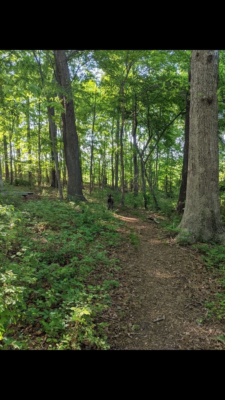 This is one of many beautiful trails near your suite (trail head is 75 yards away). I'm out every day.