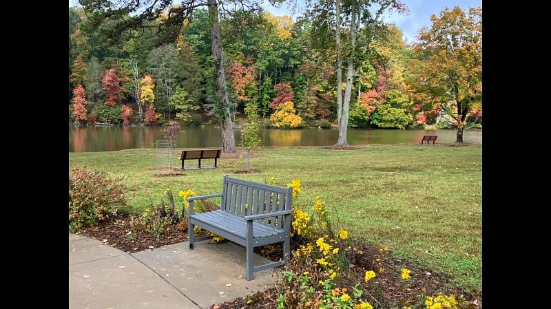 A section of the park just down from our home.