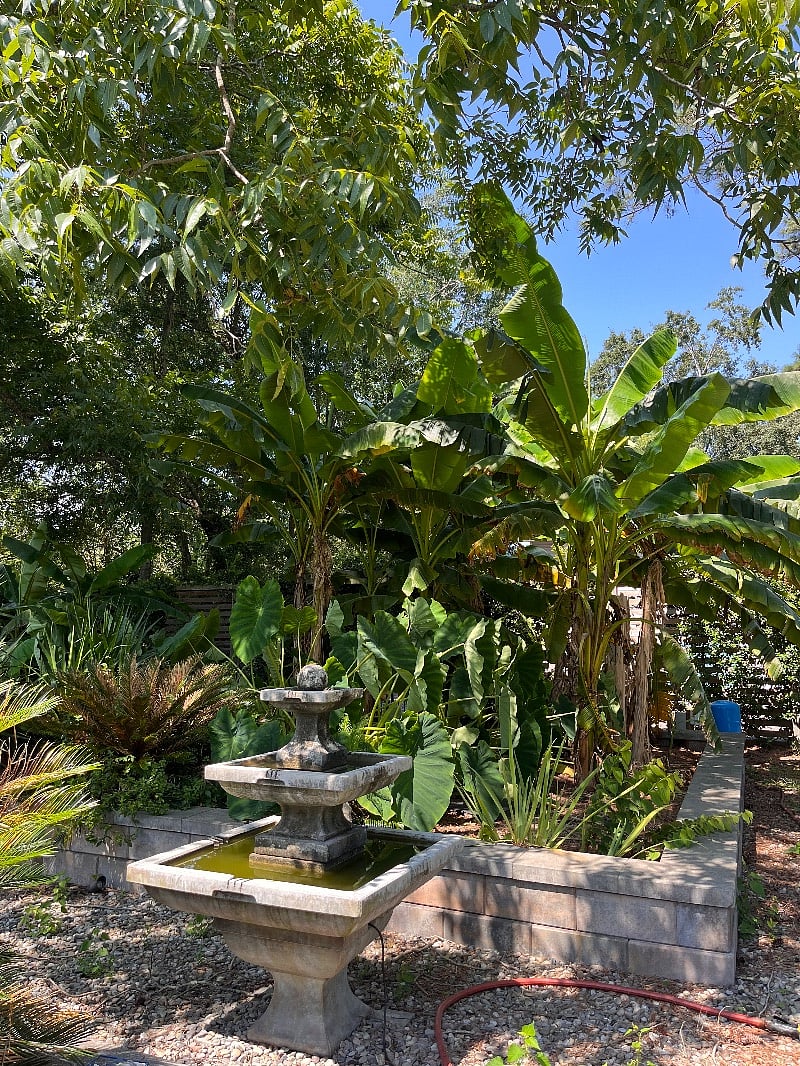 Lovely landscaping