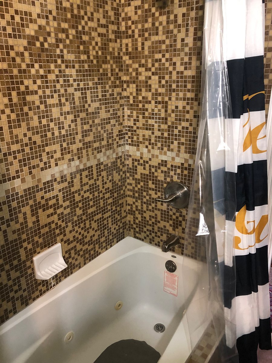 Furnished Finder property 583178_2 photo 12