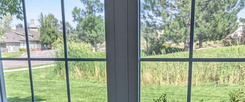 View from Living Room window