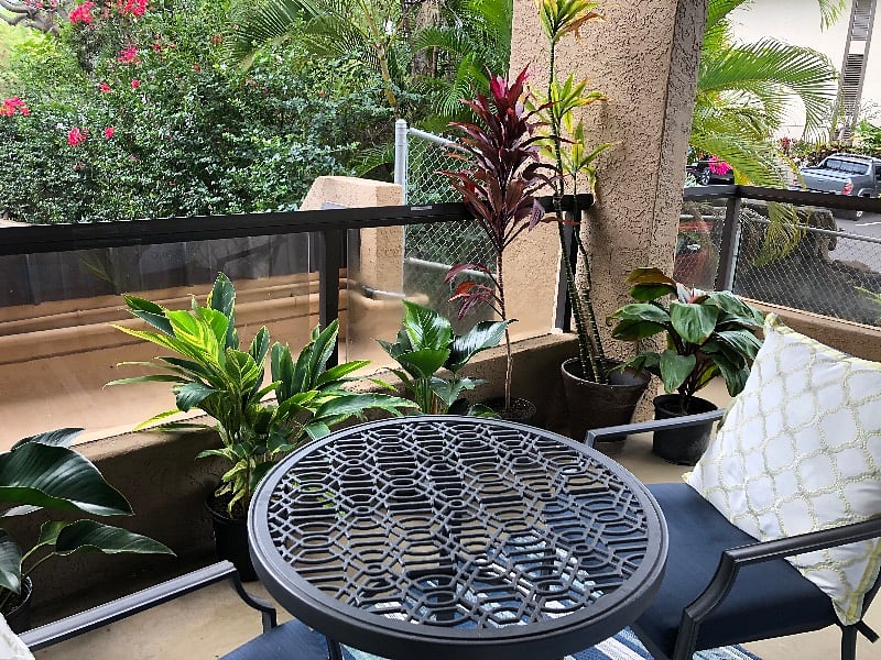 Outdoor lanai area-plants may not be there