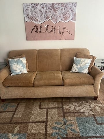 Sleeper sofa in living room-full size