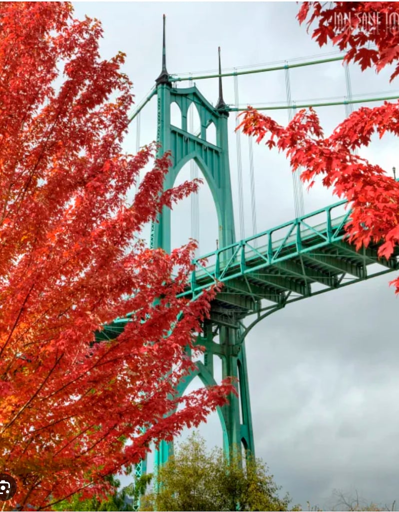 1 of the many beautiful bridges to explore. The Fall colors in Portland are gorgeous.