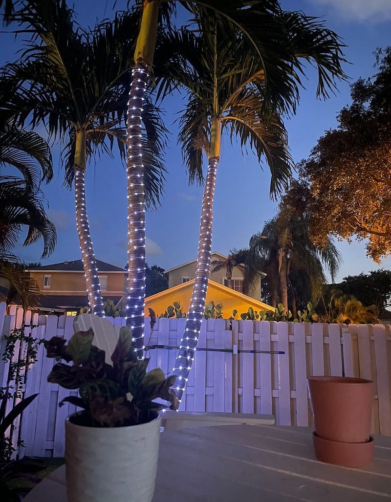 Furnished Finder property 583951_1 photo 6
