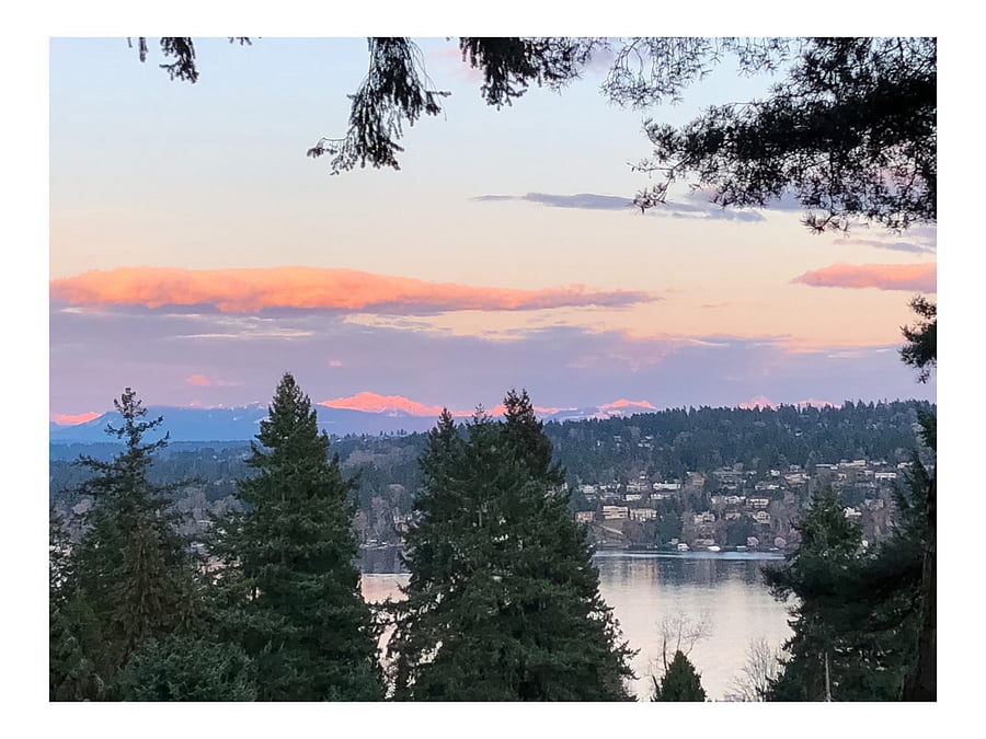 Amazing views from the home 