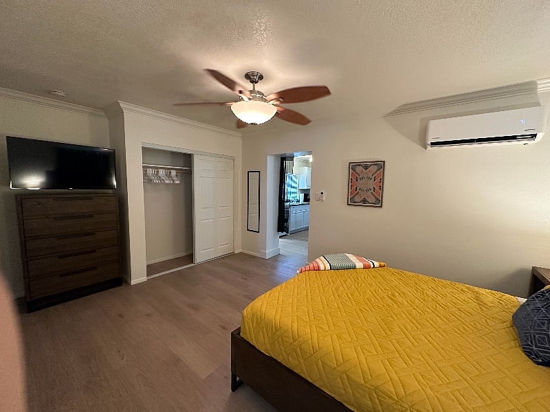 Bedroom - Large closet and Roku TV