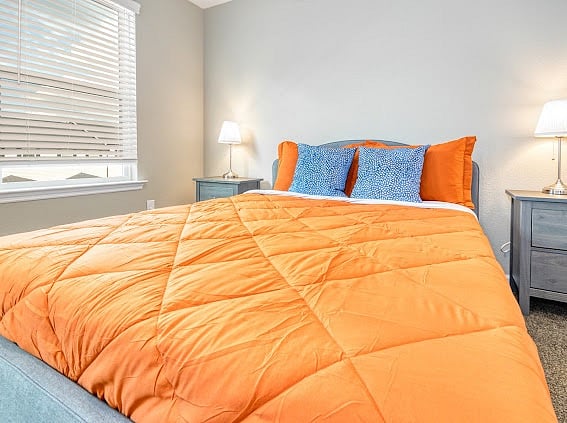 Furnished Finder property 584602_1 photo 18