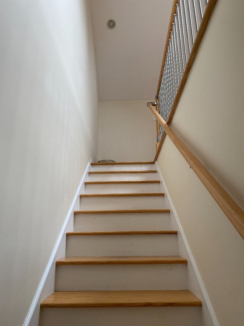 Furnished Finder property 584619_1 photo 15