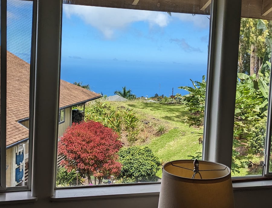 View from dining/living room.