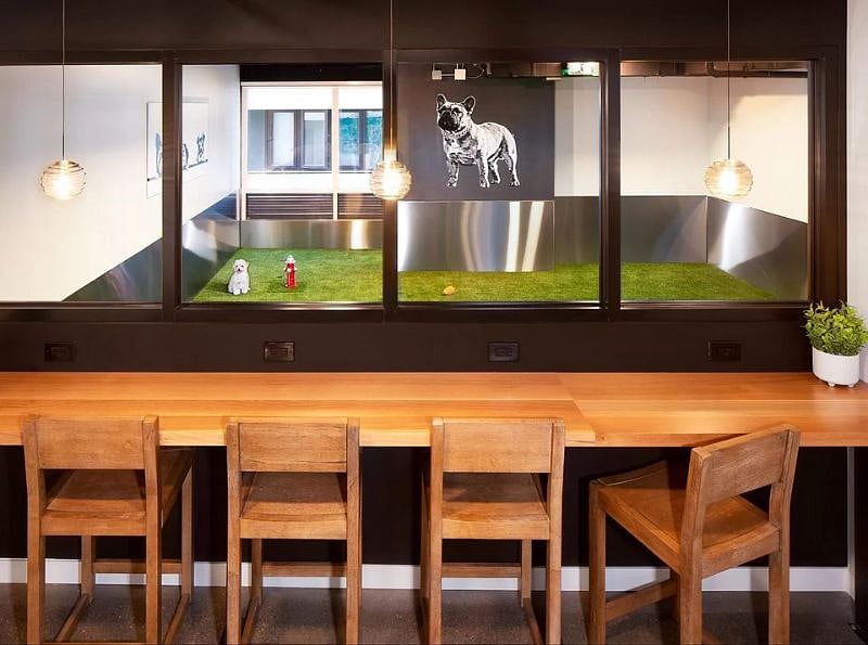 indoor dog playground