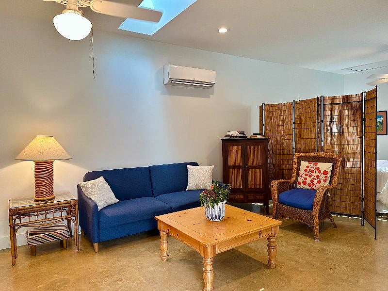 Living Area. Couch can be laid down to serve as a full-size bed