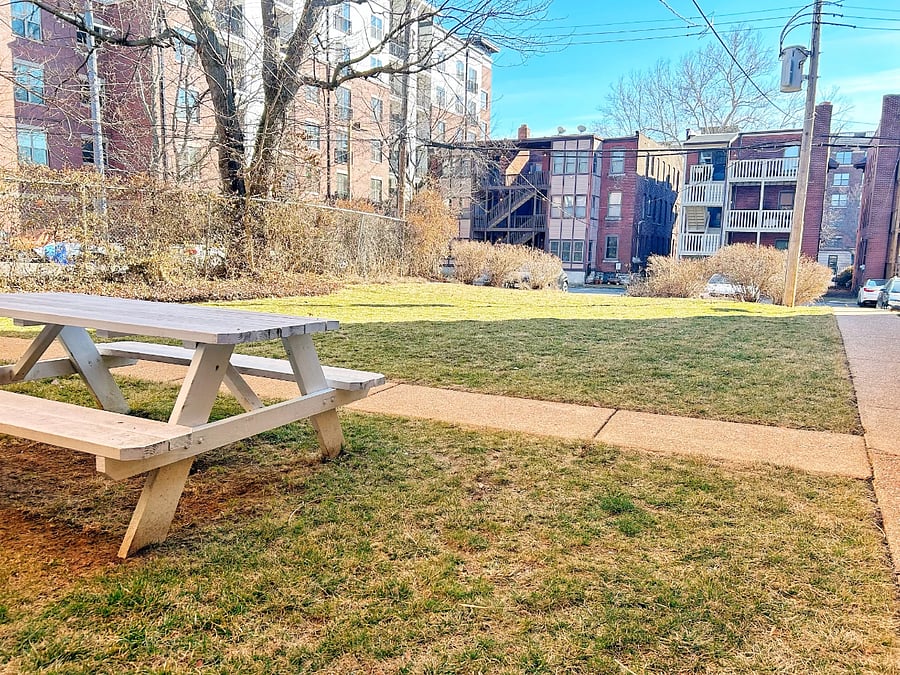 Shared backyard area. Also where gated parking is located.