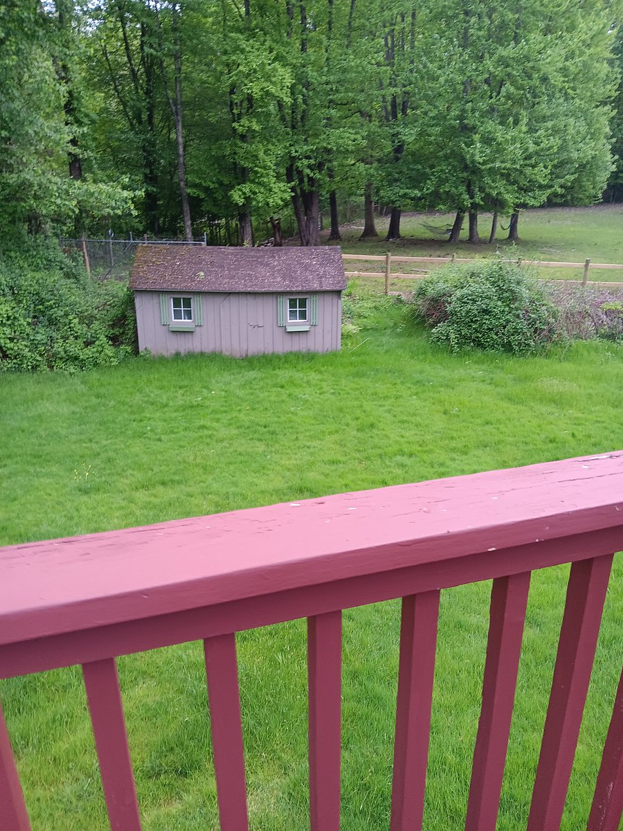 Furnished Finder property 585212_1 photo 13