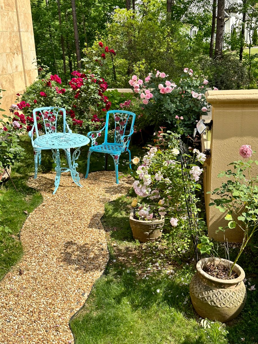 Serene and beautiful rose garden for morning coffee or evening decompressing. 