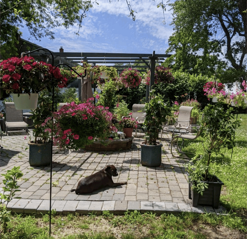 In the summer and fall the backyard is filled with flowers and birds and is an oasis.