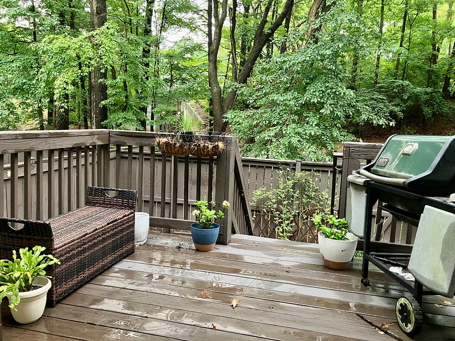 Furnished Finder property 585483_3 photo 9