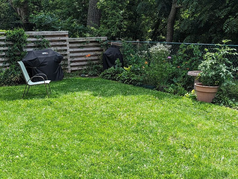 Backyard