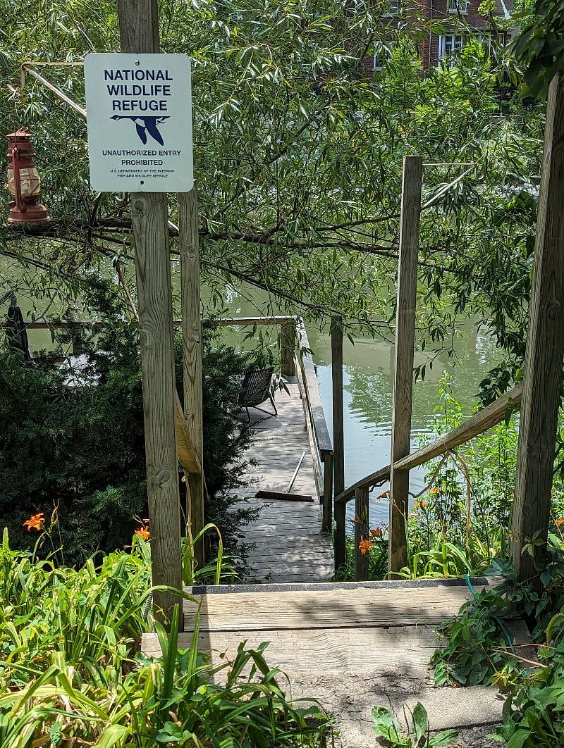 Top of the Dock