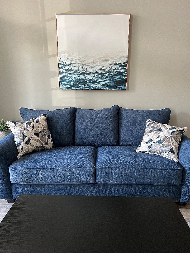 Sleeper sofa.