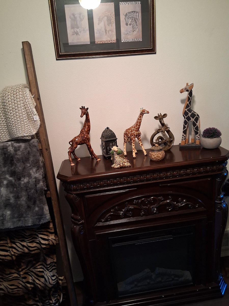 Furnished Finder property 585758_1 photo 3