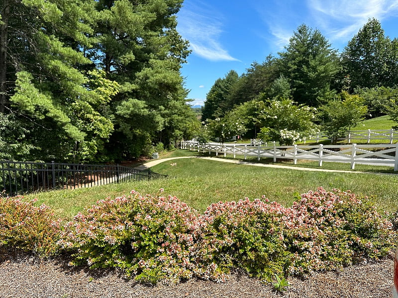 Furnished Finder property 585861_1 photo 16