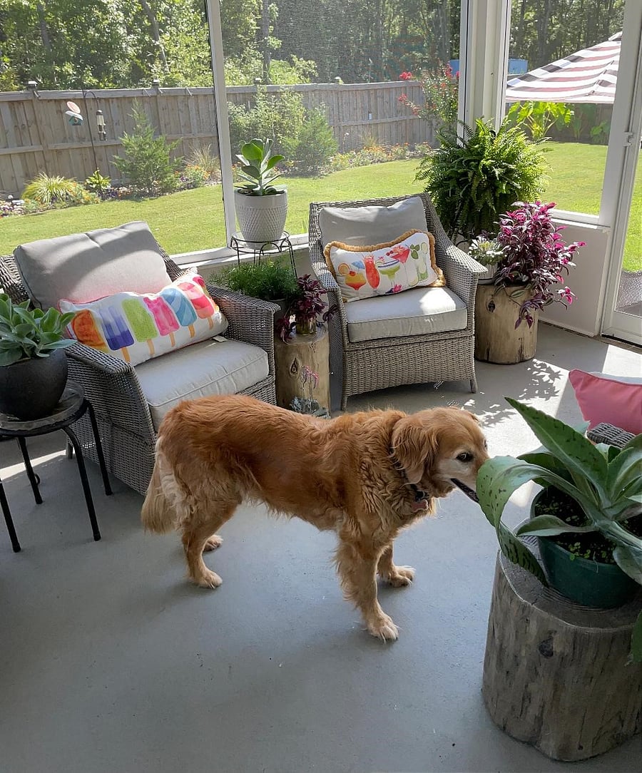 Back porch