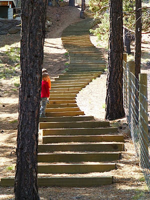 Steps down tot he park closest to our house.
