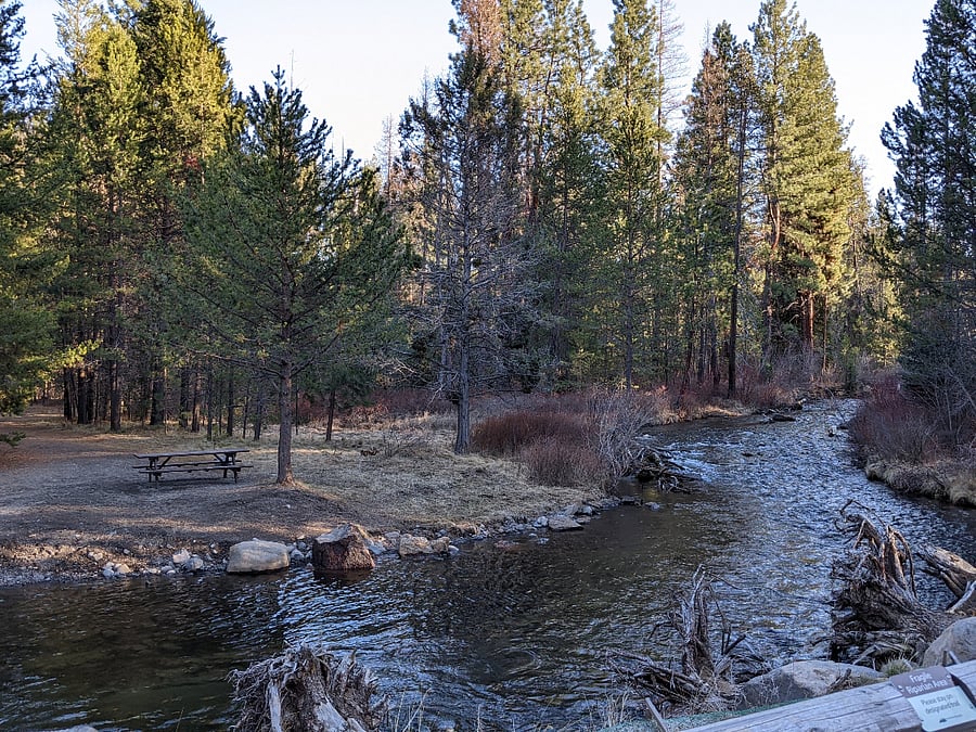 Shevlin Meadow Park - Trails along one of many creeks and rivers. 5 miles from our house.