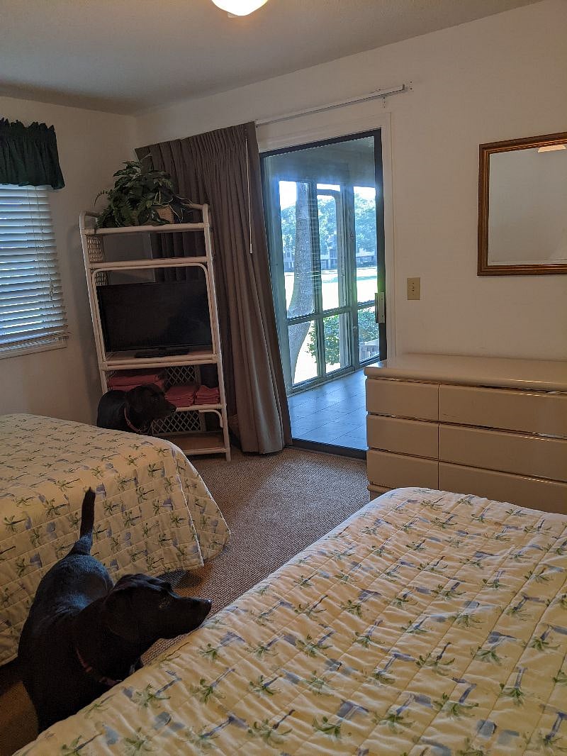 Bedroom 1 downstairs with access to screened porch