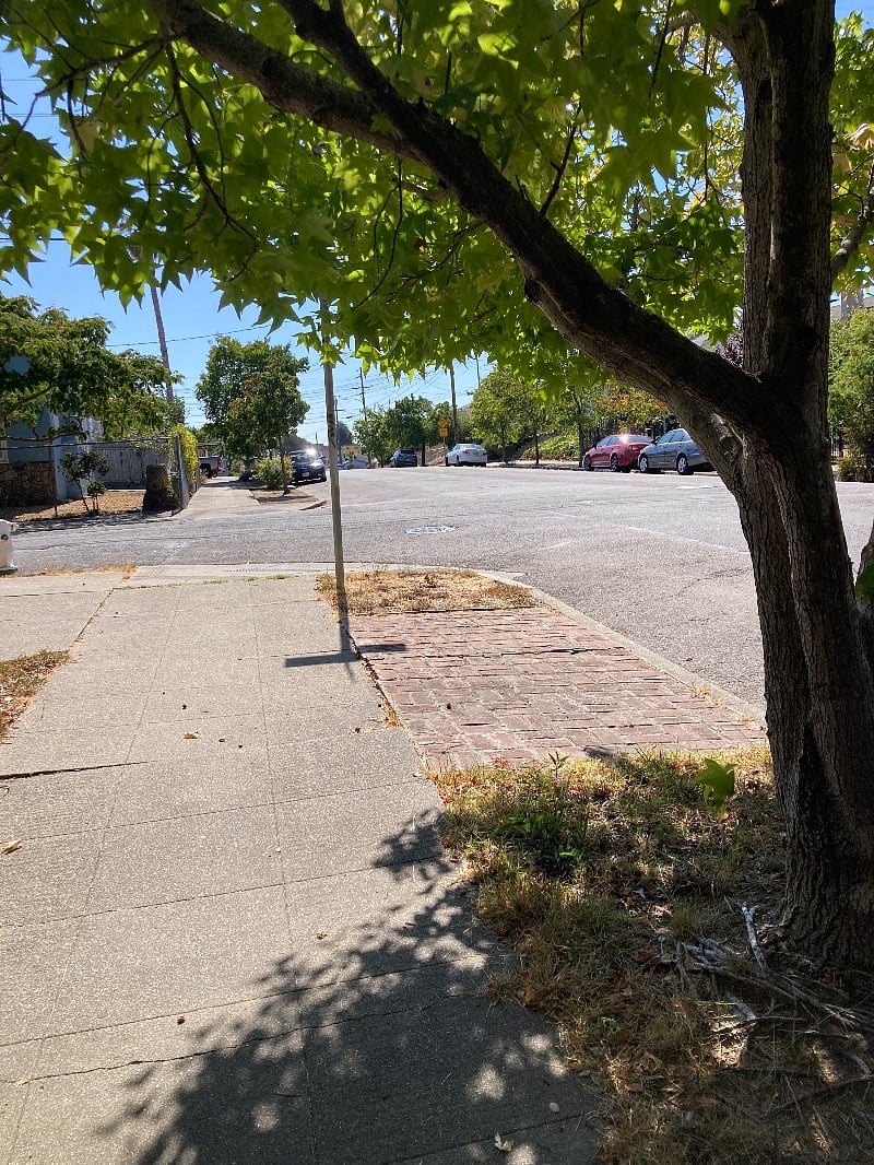 Wide, tree-lined street