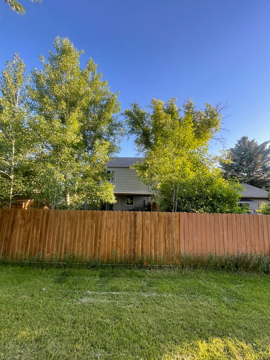 Furnished Finder property 586197_1 photo 11