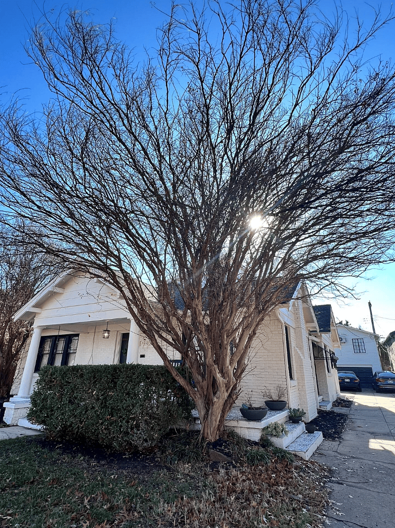 Furnished Finder property 586391_1 photo 45