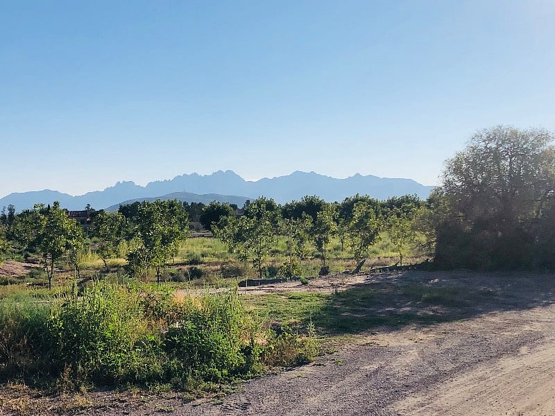 View of the Organ Mountains